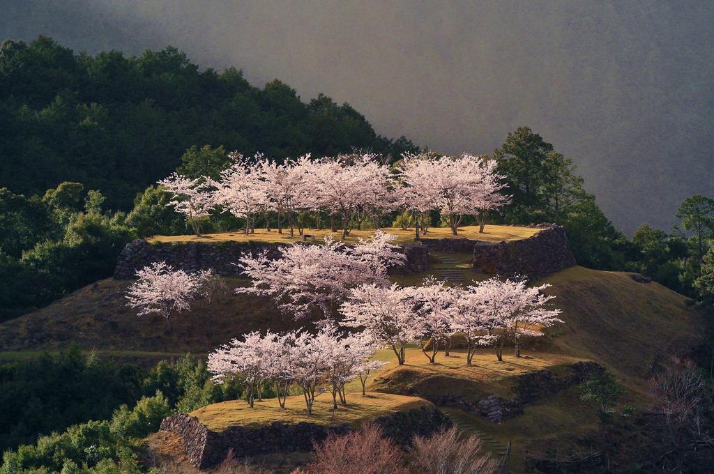 Iruka Onsen Hotel Seiryuusou Kumano Ngoại thất bức ảnh